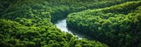 Fototapeta Miasto - Aerial view of the river flowing through the forest. Beautiful nature landscape