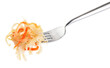 Sauerkraut with carrots on a fork isolated on white background. With clipping path.
