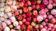 Background of pink, red and white peonies for sale at the flower market