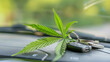 © Adin - Green cannabis leaf and driver license, marijuana with car keys. Concept dealership, transportation of drugs, hemp and leaves.