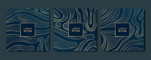 Wall Mural - vector set of gold line ribbons pattern, line organic shapes illustrations. art deco geometric textu