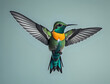 Baby fliegender Kolibri mit oranger Brust