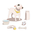 Hand drawn bull terrier dog with pet supplies