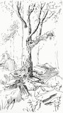 Fototapeta Paryż - Hand drawn Illustration of a forest