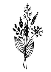 Wall Mural - Hand drawn vector illustration with black outline. Bouquet of wild flowers isolated on white background. Holiday, birthday. A simple ink sketch.