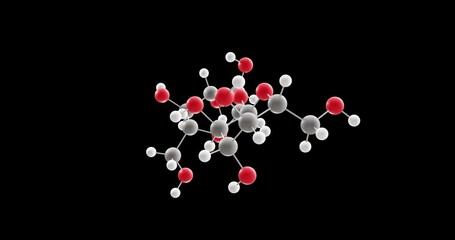 Wall Mural - Trehalose molecule, rotating 3D model of carbohydrates, looped video on a black background