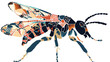 Abstract ornate mosaic silhouette of insect in state 