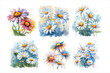 Daisies,
Flowers,
Floral,
Botanical,
Nature,
Painting,
Vector,
Art,
Colorful,
Background,
Spring,
Garden,
Decor,
Decorative,
Illustration,
Beautiful,
Vibrant,
Fresh,
Summer,
Daisy art,
Watercolorpaint