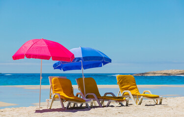 Wall Mural - Lounger chairs and parasol umbrellas on sandy beach in Cape Town