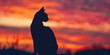 A Siamese cat outlined against a vibrant sunset sky, its silhouette highlighted by the fiery hues of the evening horizon 
