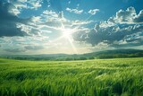 Fototapeta Natura - Clear sky, sunny weather, green grass, beautiful landscape
