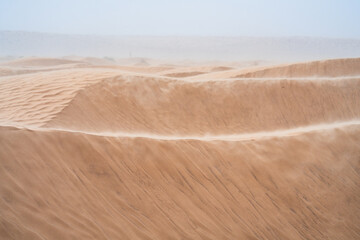 Wall Mural - wind on sand dune of the Sahara - southern Tunisia