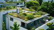 Green roof on top of a high-rise building in the city, blending nature and urban architecture seamlessly