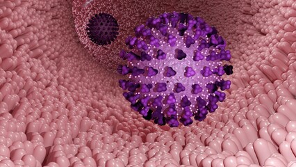 Wall Mural - 3d rendering of Echovirus. The name is derived from 