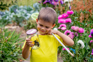 Wall Mural - happy boy admires caught butterflies.