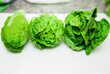Fresh cabbage baby cos lettuce. Healthy grocery. Romaine lettuce heads. Asian vegetables ready to cook