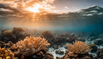 Wall Mural - a bright underwater world with coral reefs