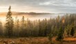 a long narrow panorama of a coniferous northern forest in the fog of an autumn day a landscape of wildlife
