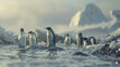 penquins at the Antarctica
