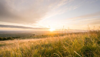 Poster - wonderful epic nature landscape of a sun rising at the horizon with a grass field in front