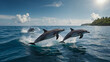 A pod of dolphins frolicking in the waves off the coast of a tropical island.