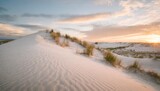 Fototapeta  - white sand dune