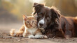 Dog and cat in playful harmony, capturing a moment of joyful connection