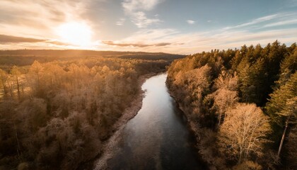 Poster - an aerial view of a river in the forest generative ai