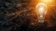 Generative AI : Light bulb glowing in soil / idea or energy and environment concept