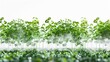 Hydroponic Microgreens: Nutrient-Rich Produce and conceptual metaphors of Nutrient-Rich Produce