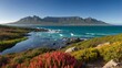 Table Mountain Majesty: A Visual Ode to the Western Cape's Natural Beauty