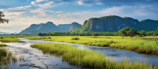 Canvas Print - The scenic view showcases a serene river gracefully moving through a vibrant and verdant grassy field on a sunny day