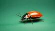 tiny house bug  (325)