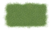 3D rendering of the green grass isolated on a white background. Transparent background PNG file. 