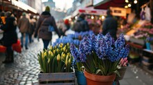 Bustling Street Market Featuring An Array Of Potted Blue Violet Hyacinths.