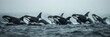 Orca pod hunting  photorealistic masterpiece in open ocean with scenic rim light style