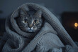 A horrified cat wrapped itself in a blanket
