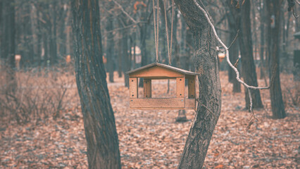 Bird pocket in autumn park