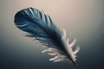 Monochrome black white bird feather photography, wallpaper