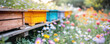 Row of colorful beehives in blooming garden, bees gathering pollen. Vibrant wildflowers foreground with soft focus