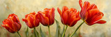 Fototapeta Natura - Illustration of colorful tulips in full bloom. Spring flowers close-up.