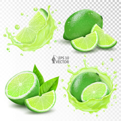 Wall Mural - Fresh lime set, half and whole. Vector realistic juice splash. 3D food illustration isolated on white background for packaging and advertising design