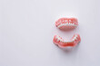 artificial model of people teeth over white background with copy space