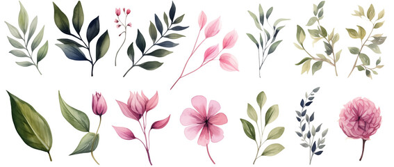 Set collection illustration watercolor green leaves and branches on transparent background. Botanical Illustration elegant watercolor illustration , green tropical leaves