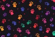 Colorful pet paw pattern wallpaper. Animal background with cat paws. 