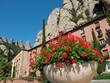 Red flowers pot under the Abbey of Montserrat in Catalonia, Spain with blue sky
