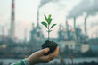 A person is holding a small plant in their hand. The plant is surrounded by a lot of smoke,