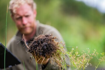 Wall Mural - farmer collecting soil samples in a test tube in a field. Agronomist checking soil carbon and plant health on a farm