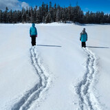 Fototapeta Las - People Walking Through Snow in Mountain Wilderness Pine Forest