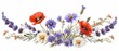 Various wild flowers are used as corner design elements like poppy, cornflower, dandelion, and lavender